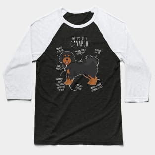 Black and Tan Cavapoo Dog Anatomy Baseball T-Shirt